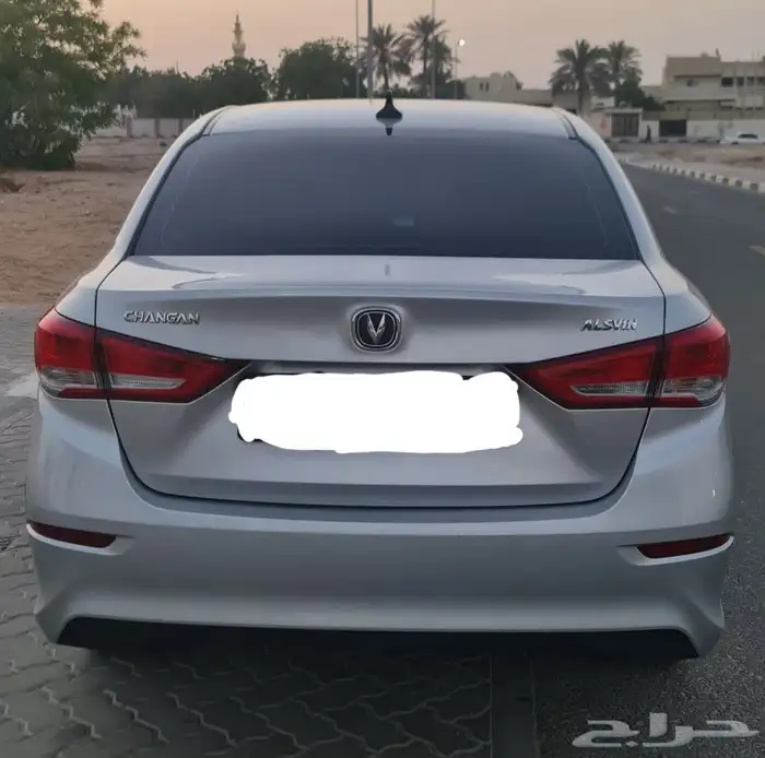 شانجان السفين 2024 5
