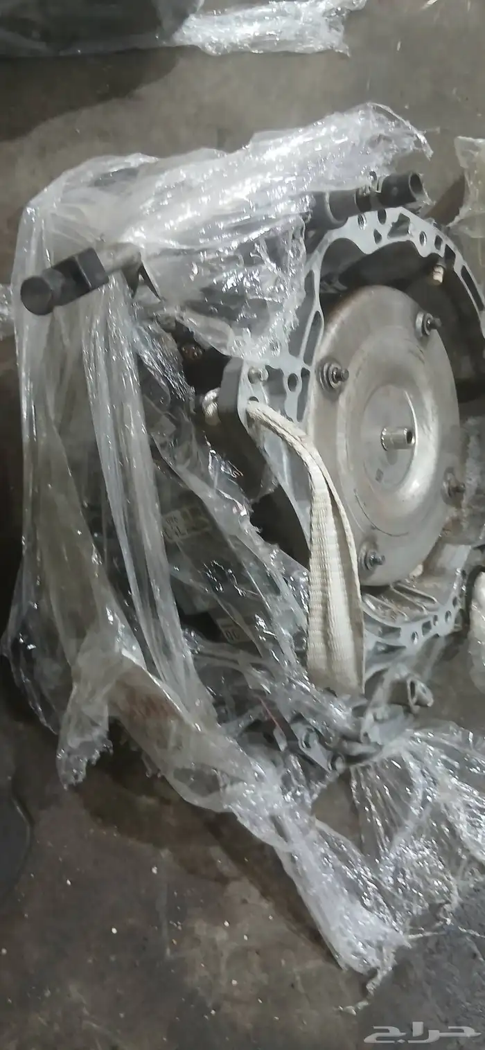 جميع انواع القيور  - مستورد.   شد بلد.   اساسي. 1