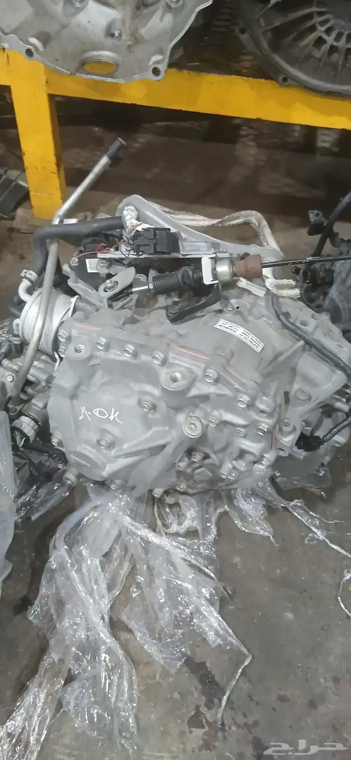 جميع انواع القيور  - مستورد.   شد بلد.   اساسي. 0