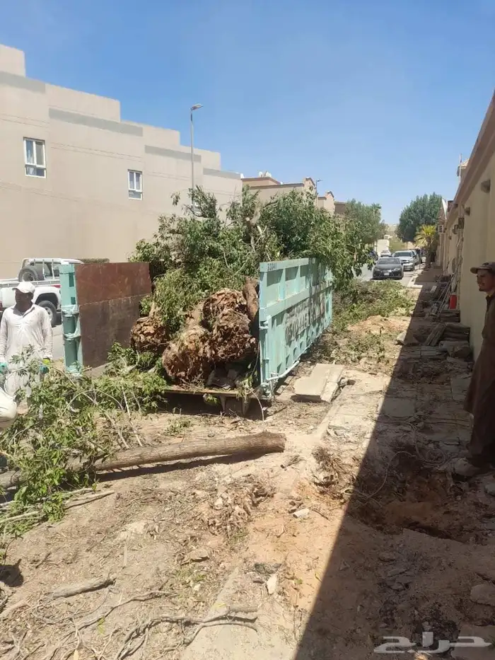 قشع نخل تقطيع شجر قص شجر ونش رافعه نقل نخل 0