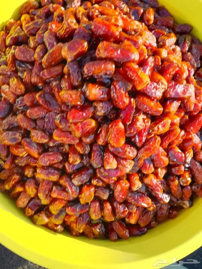 تمور حائل الفاخره 9