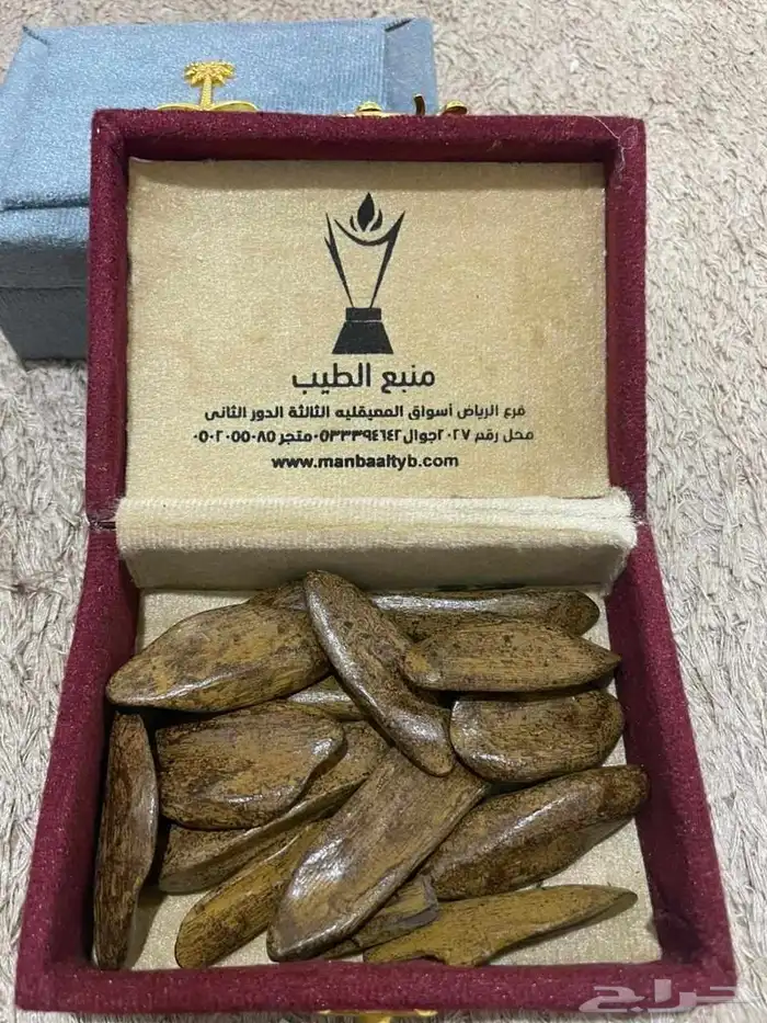 عود جملة 2