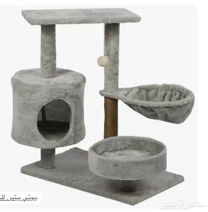 للبيع العاب قطط قطه خداشه كبيره صغيره 4