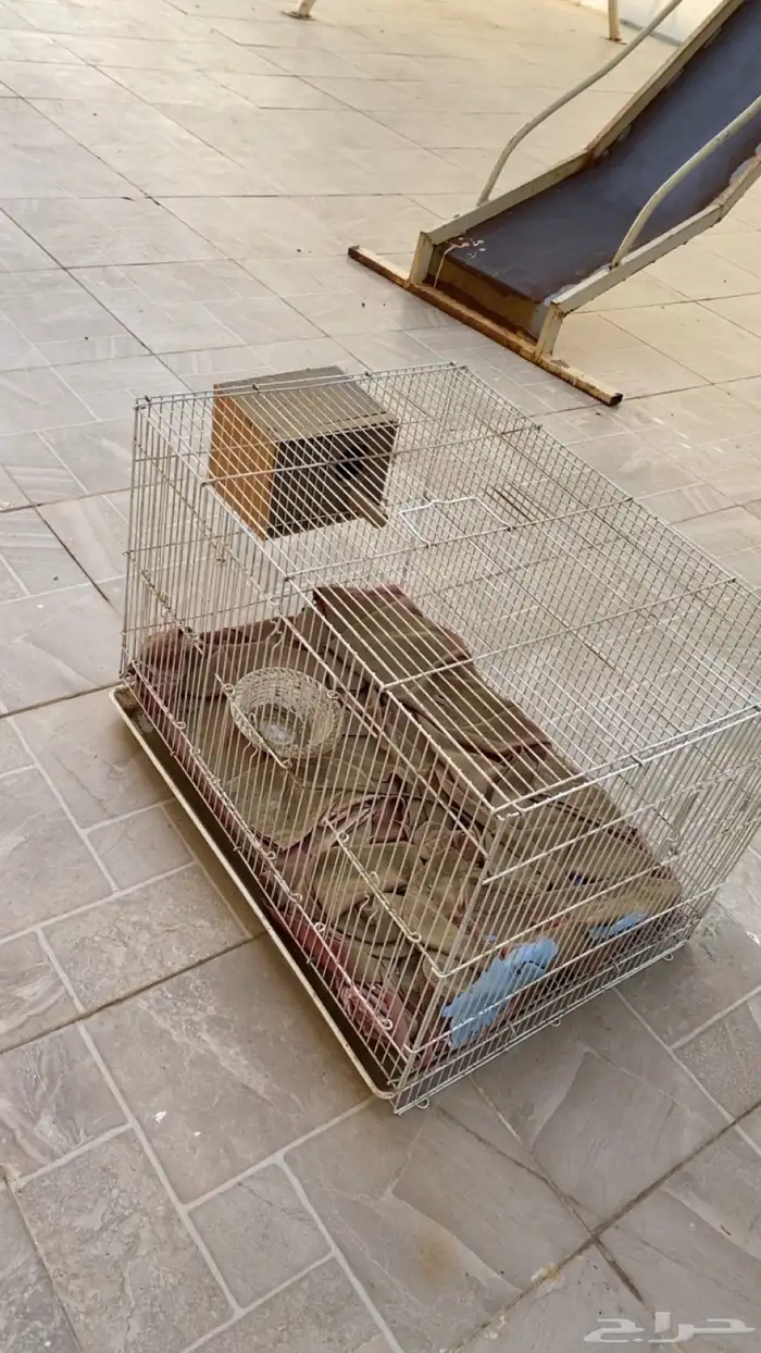 شبك طيور جديد 0