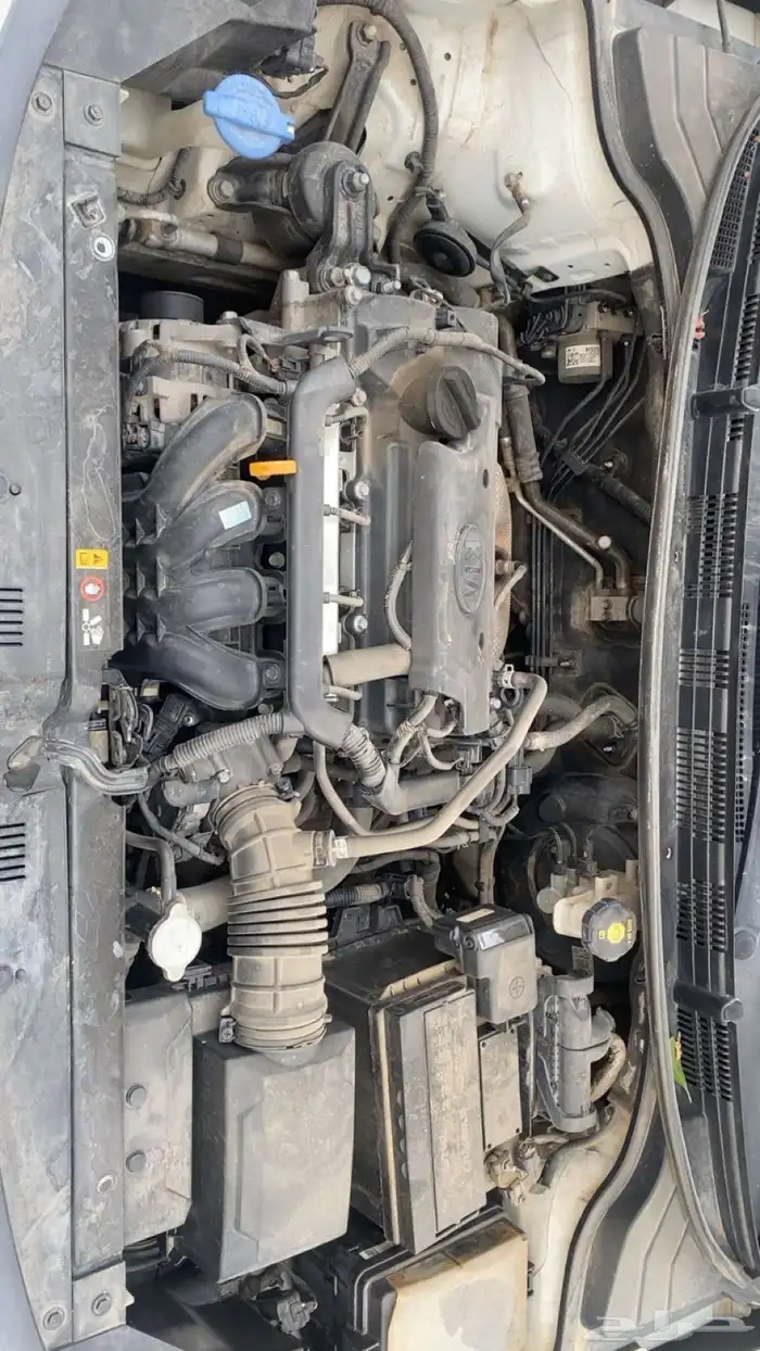 ريو 2019 للبيع 11