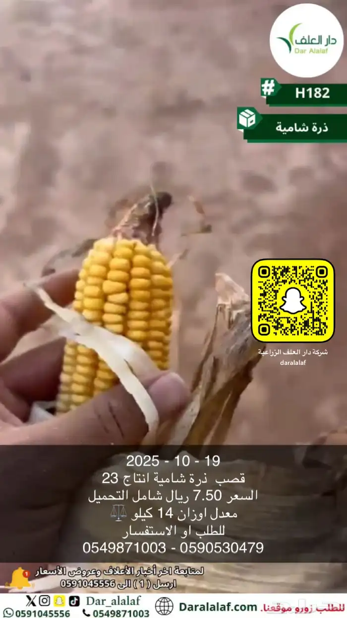 عرض خاص لمربي الإبل 3