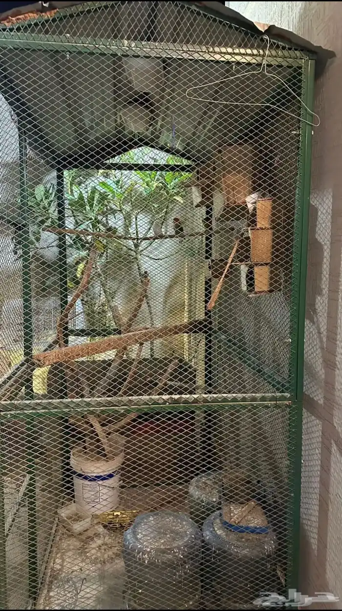 حضيرة طيور بقلاوه 0