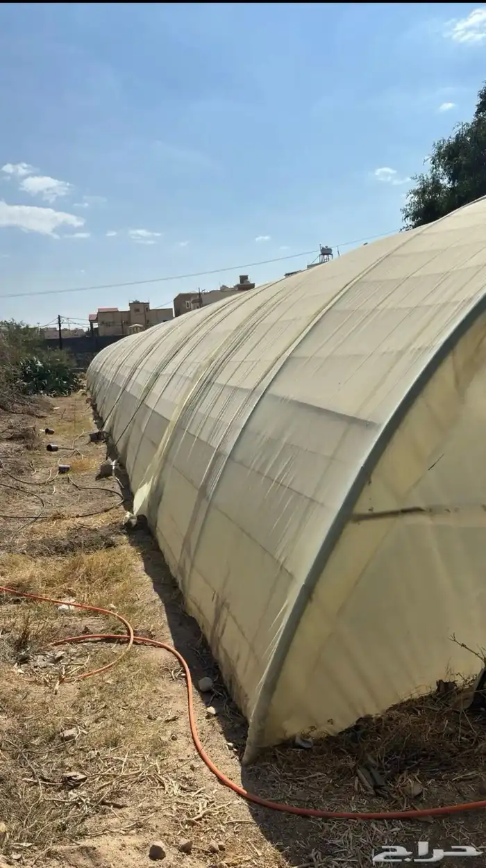 بيت محمي مجلفن فرنسي 3