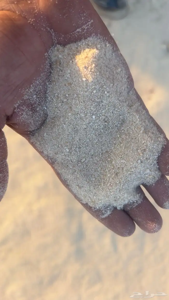 رمل ابيض لياسه بطحاء الرياض 1