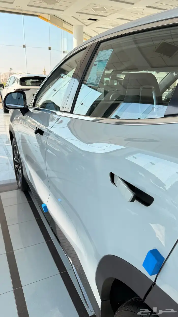 جيتور داشينج فئه الميد 2025 (82885) 6