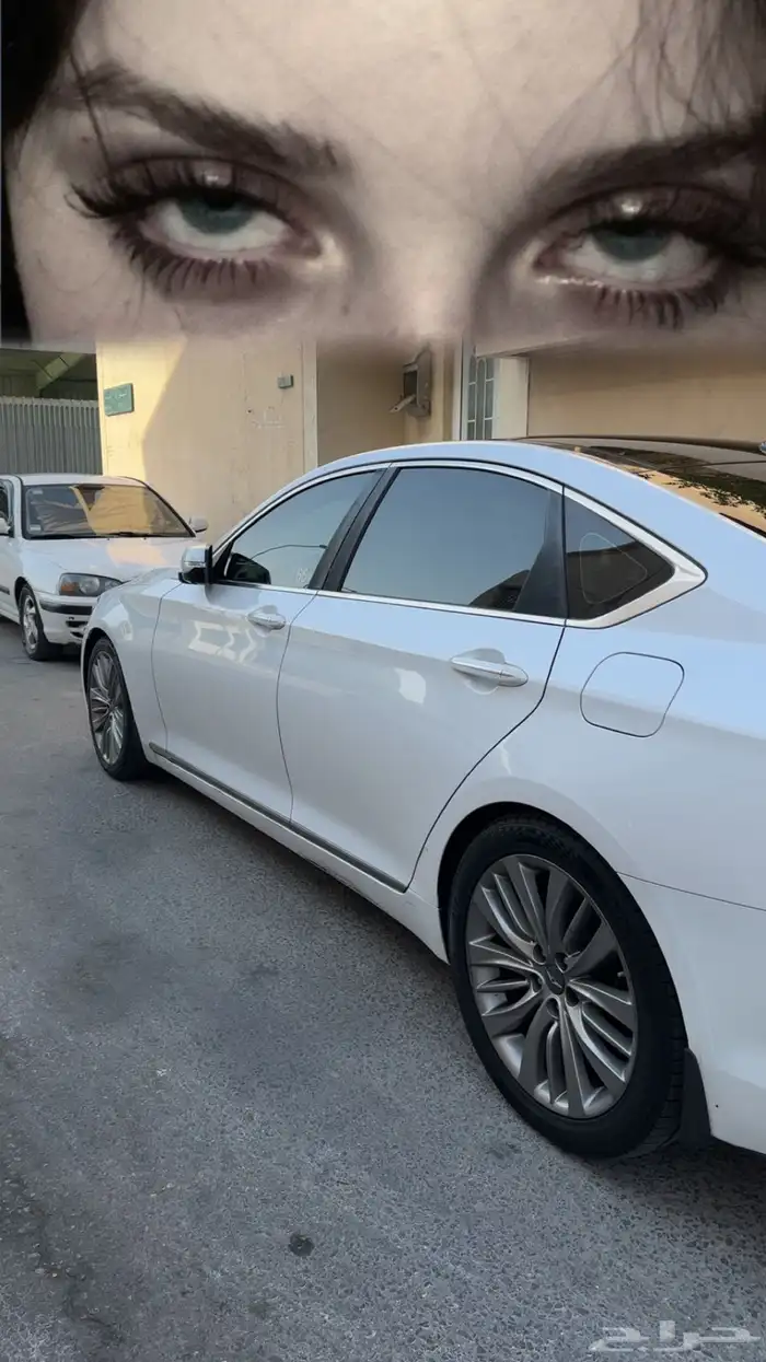 جنيسس فل كامل 2016البيع 13