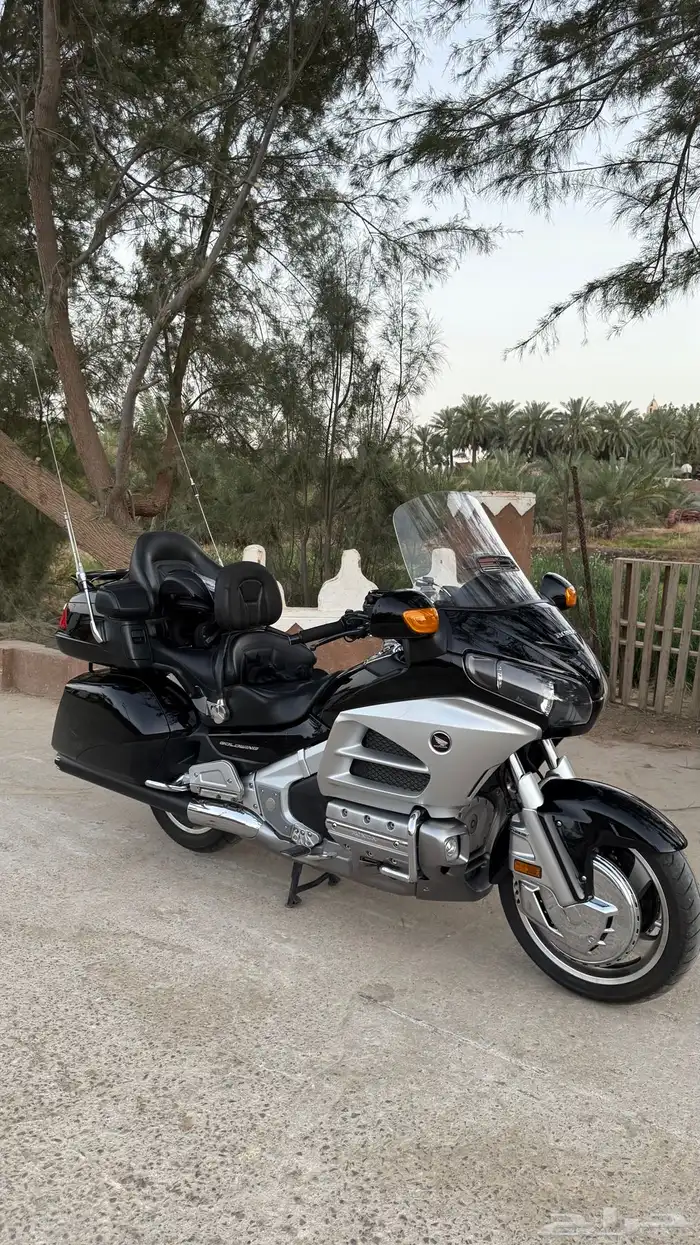 قولد وينق 2012 اسود لفل 3 3