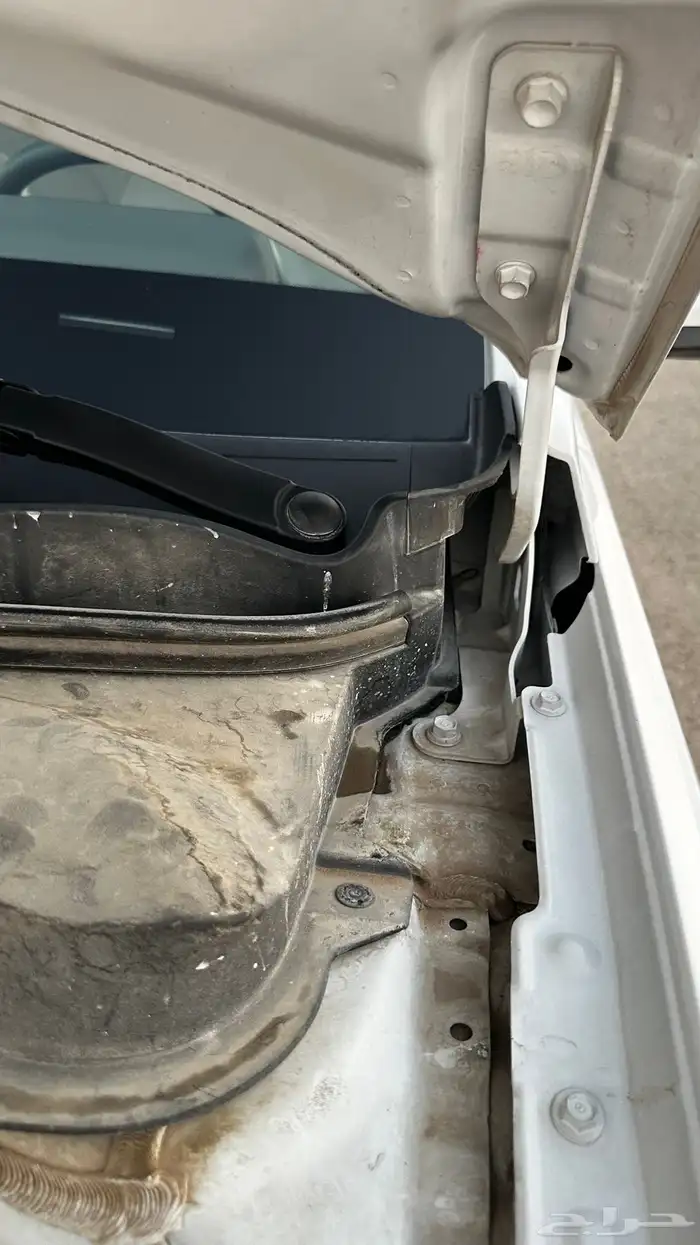 اكسنت 2024 وكاله مخزنه 60