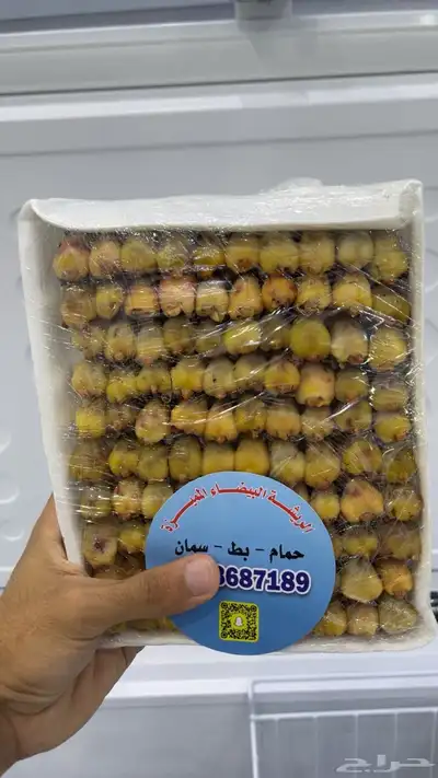 حمام فرنسي جامبو و طيور دخل 0