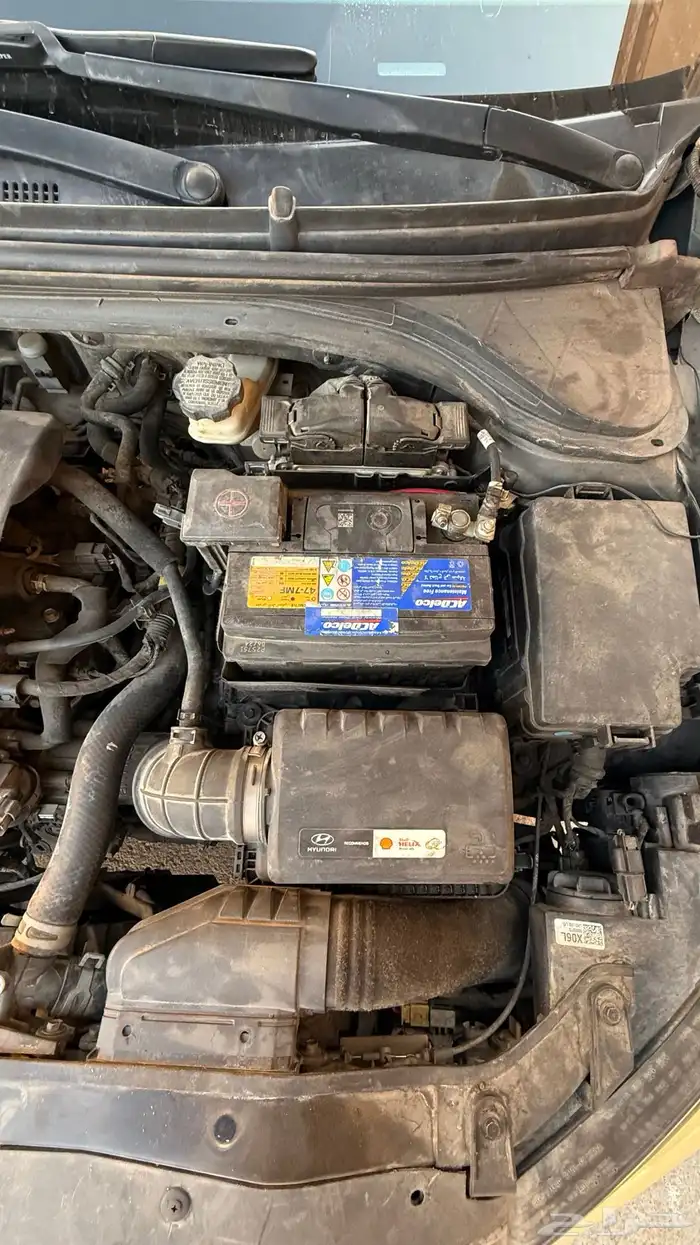 النترا 2018 نص فل 31