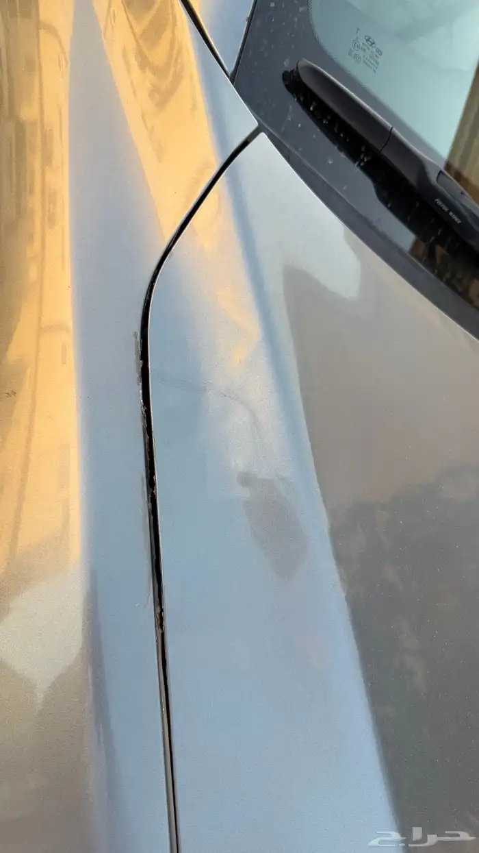 النترا 2018 نص فل 26