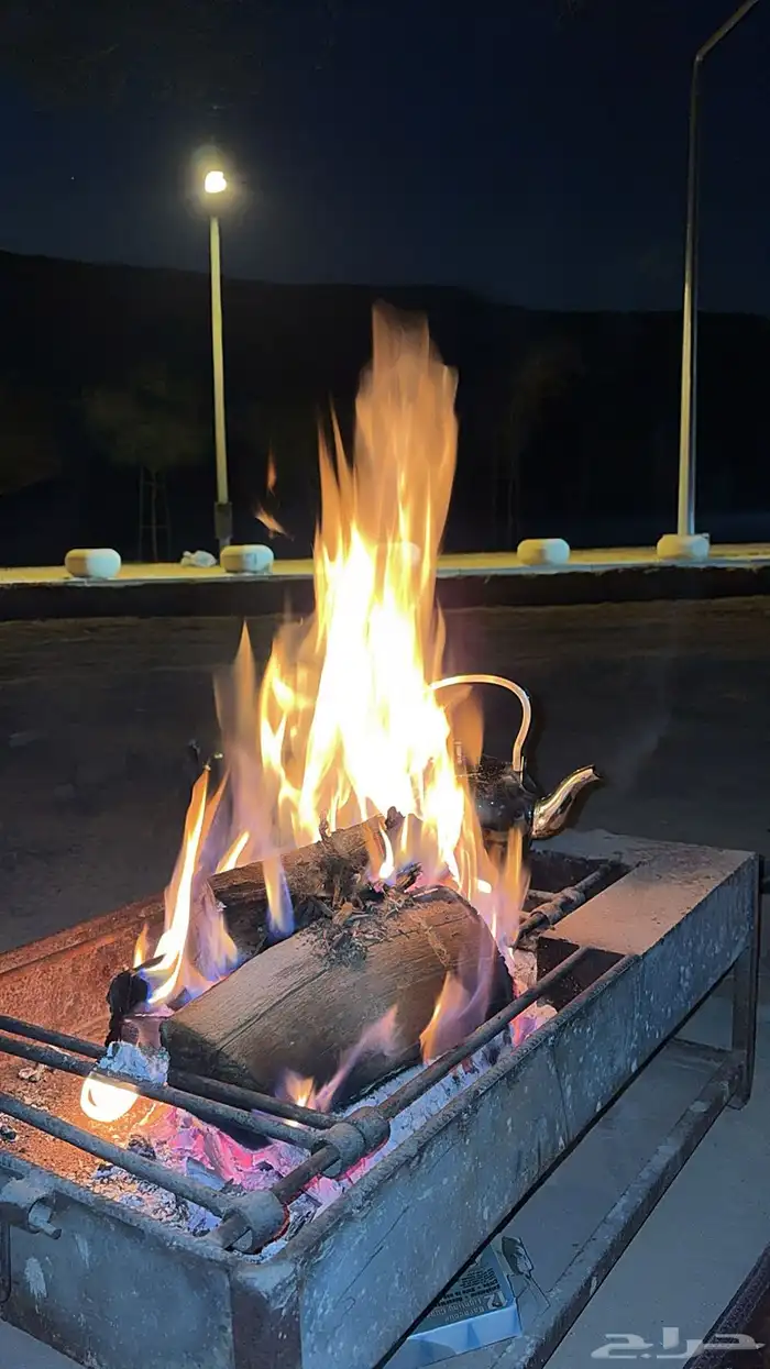 حطب سمر أفريقيا وزنه عشره كيلو 1