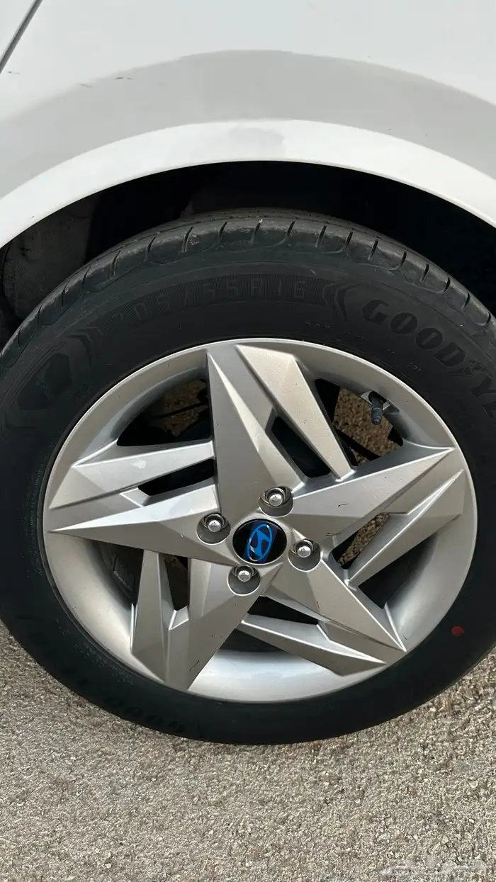 اكسنت 2024 وكاله مخزنه 49