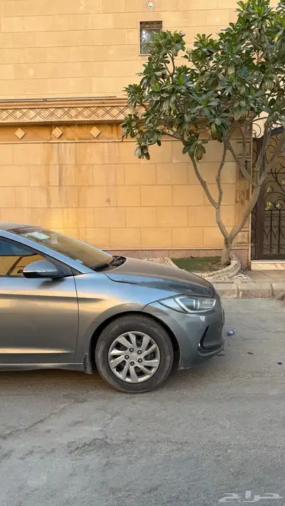 النترا 2018 نص فل index