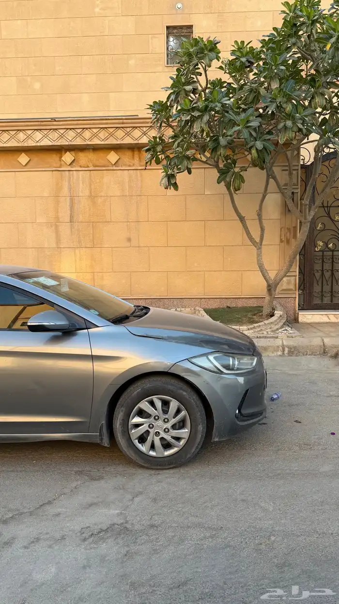 النترا 2018 نص فل 3