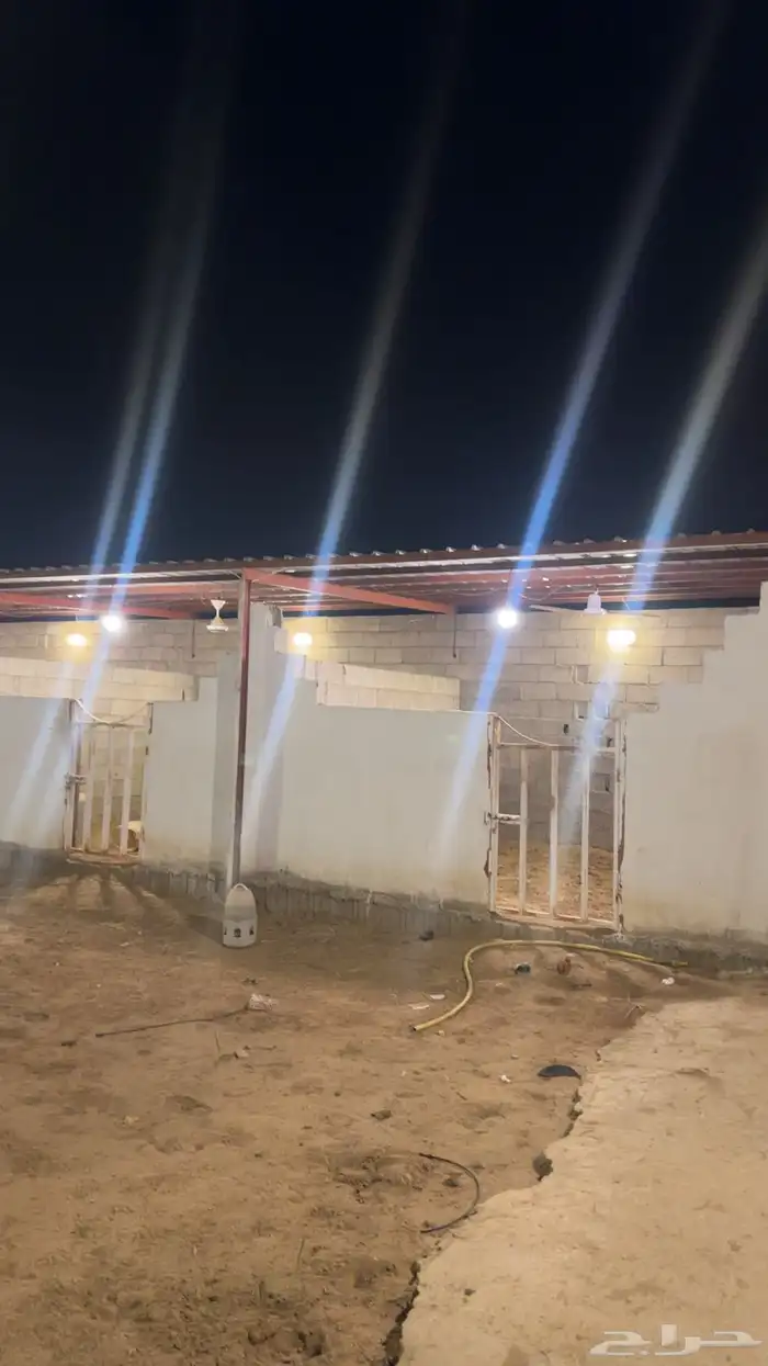 مستلزمات مربط 5