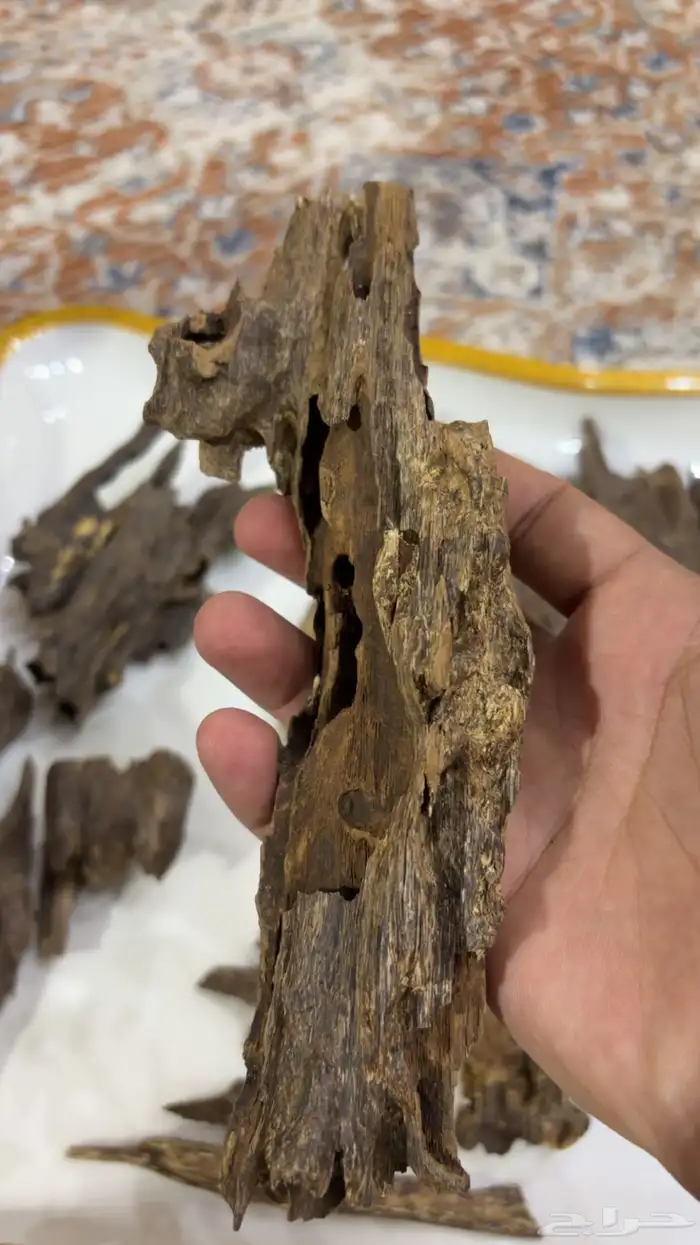 عود هندي تربل ودبل سوبر نقلاند 5