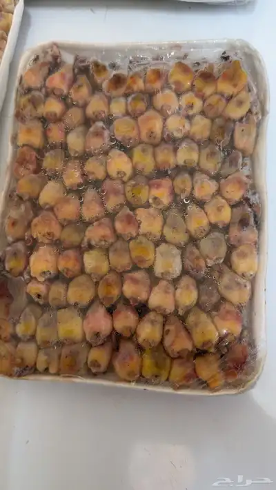 الدخل الصغير وصل والجديد index