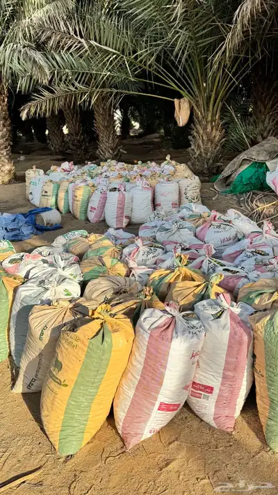 للبيع تمر علف للحلال index