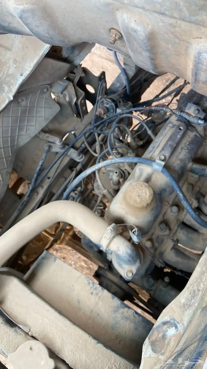 دنه بدون اوراق 6