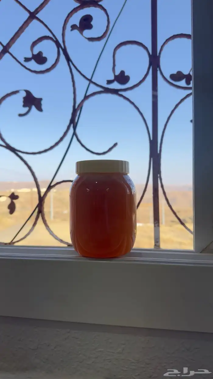 عسل سدر اصلي 0