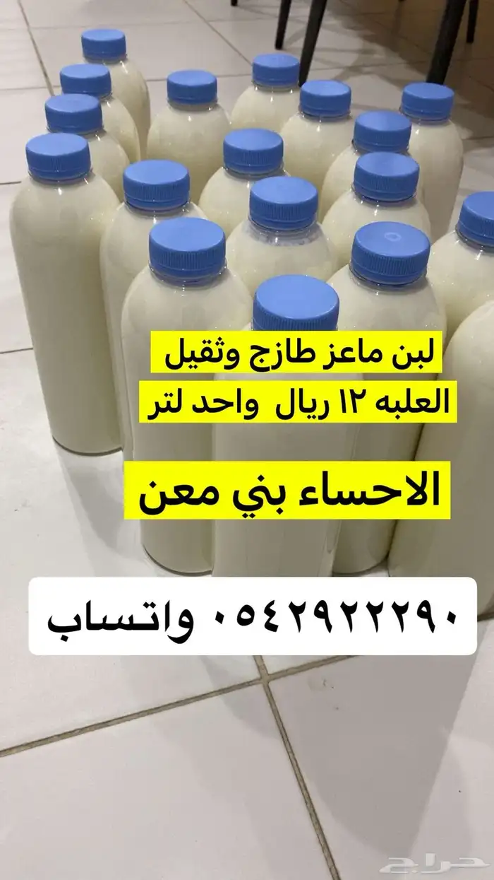 لبن و زبادي ماعز 1