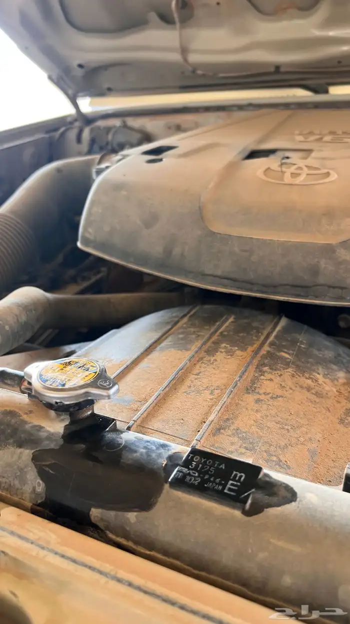 شاص بريمي 2012 8