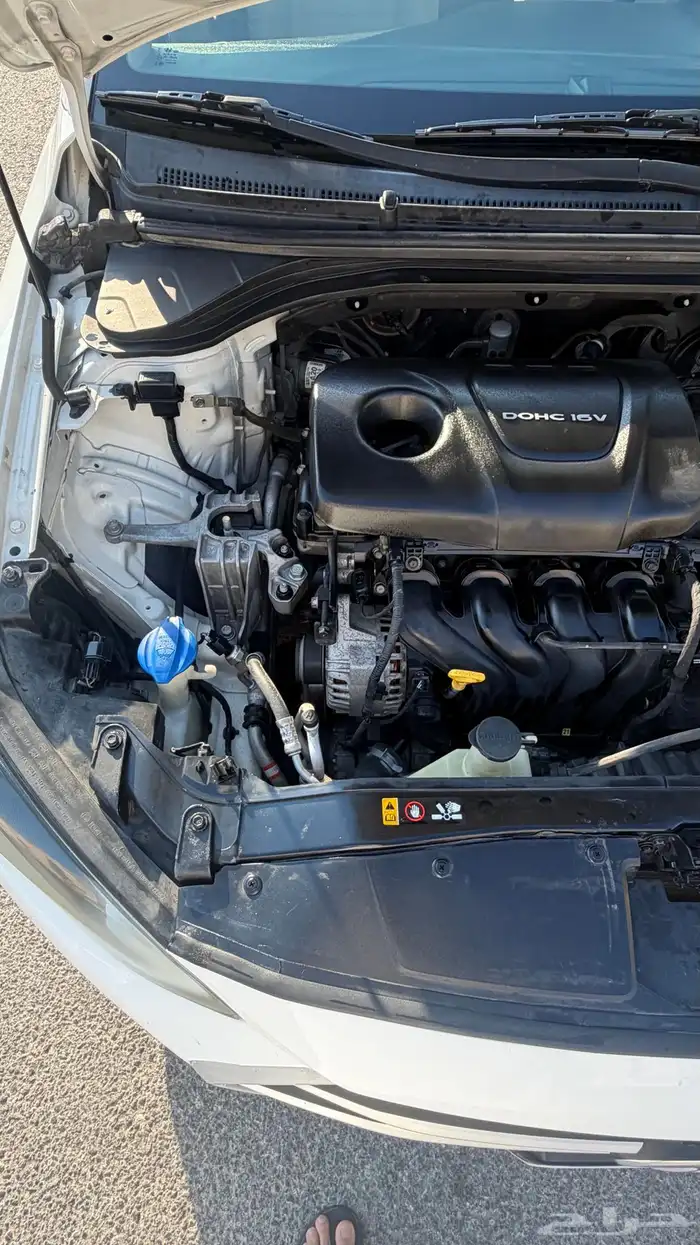 الانتراء 2017 للبيع 19