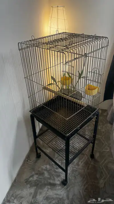قفص ببغاء index
