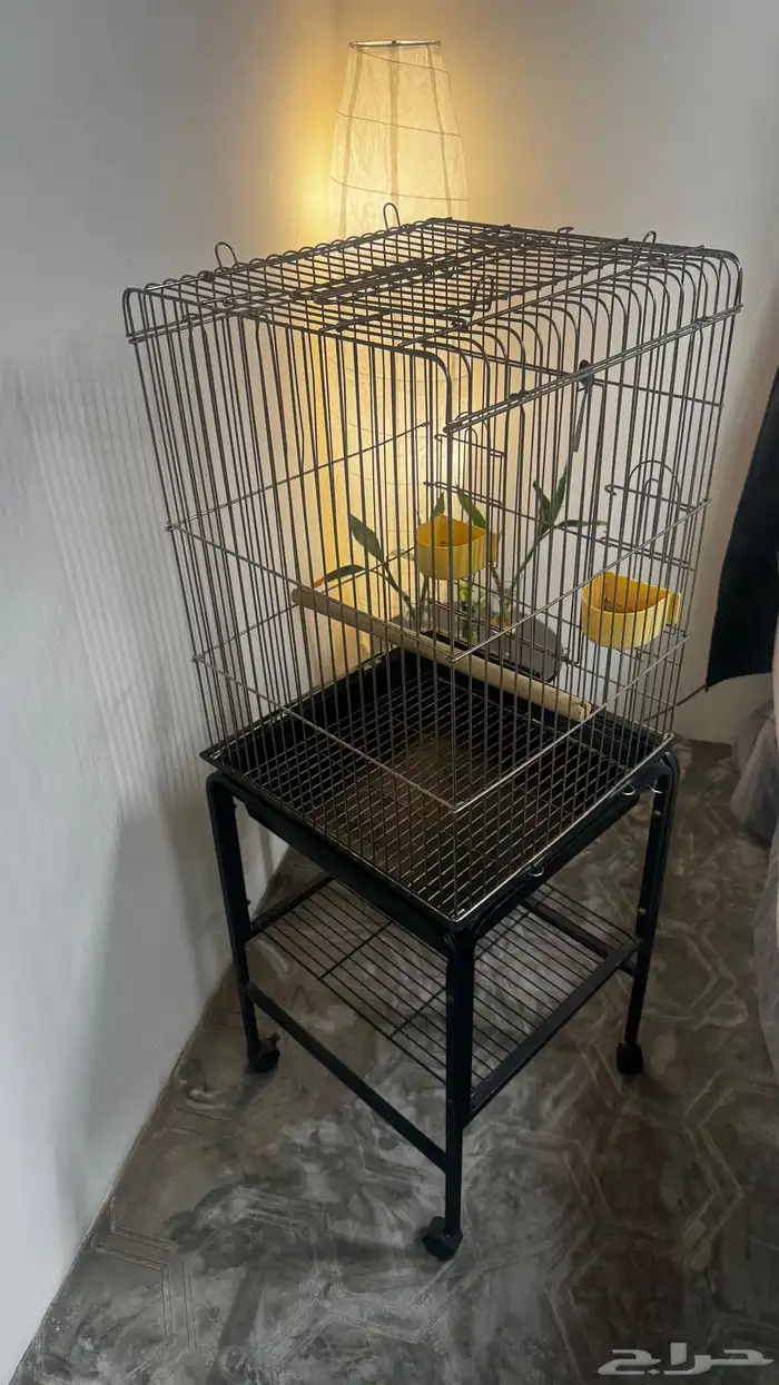 قفص ببغاء 1