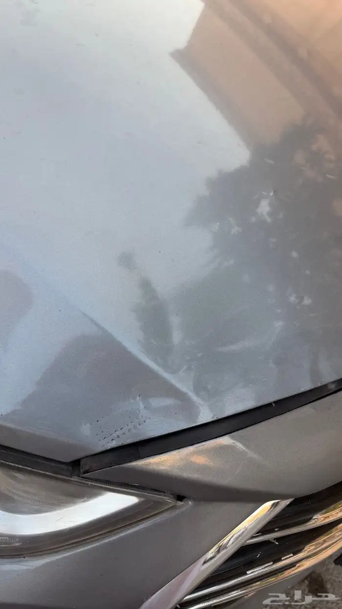 النترا 2018 نص فل 25