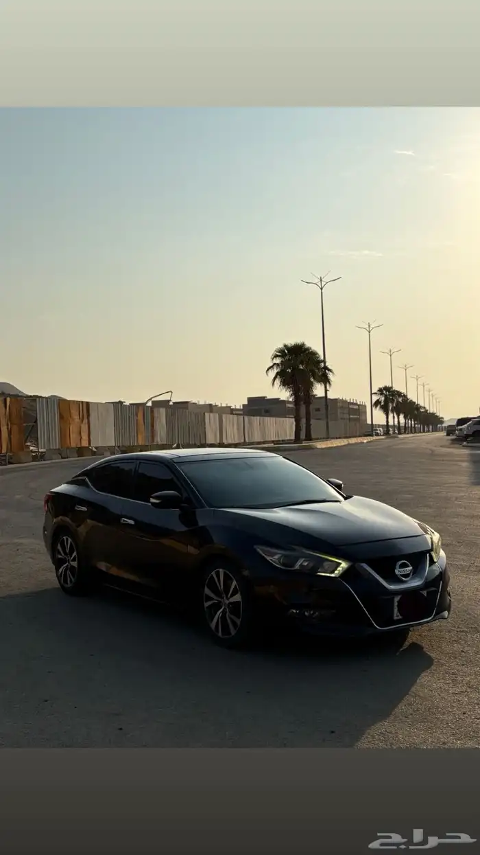 نسيان مكسيما موديل2016 فل 9