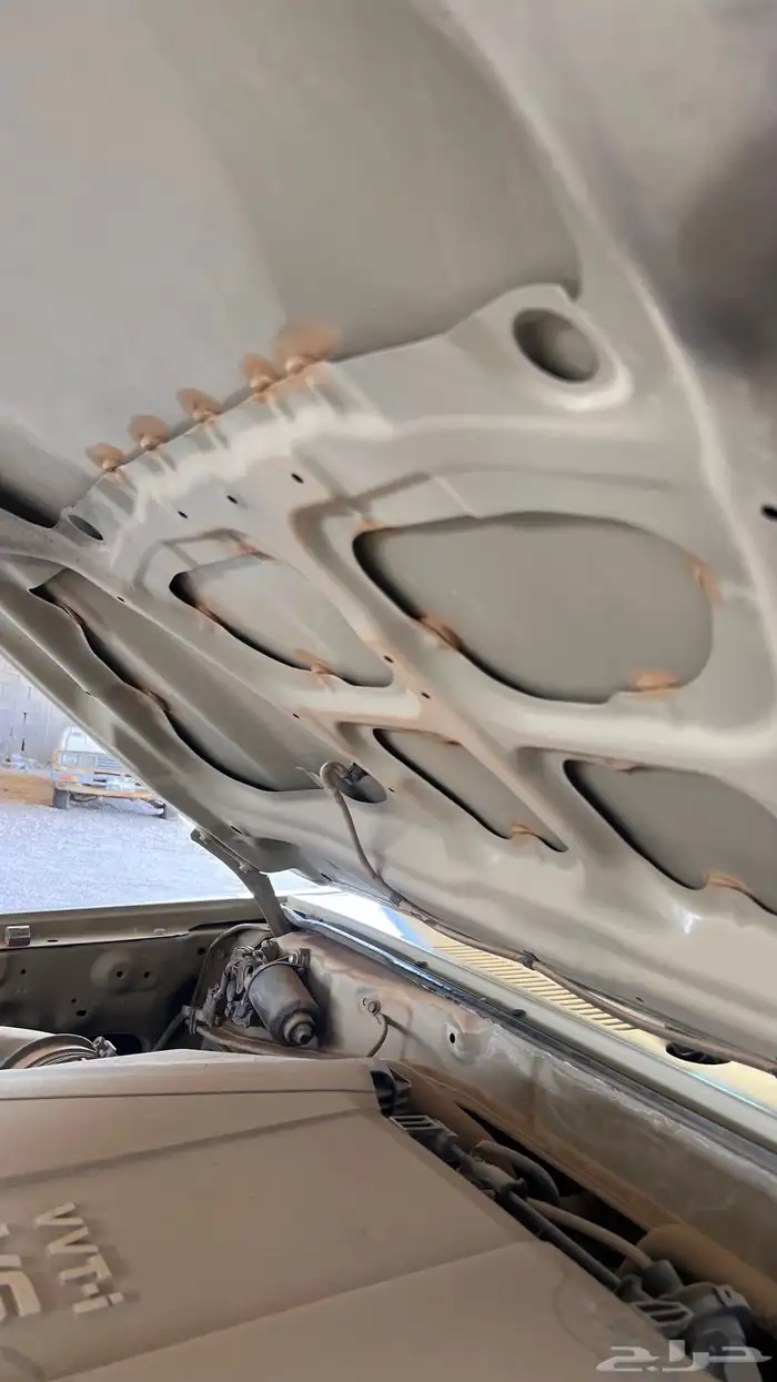 شاص بريمي 2012 4