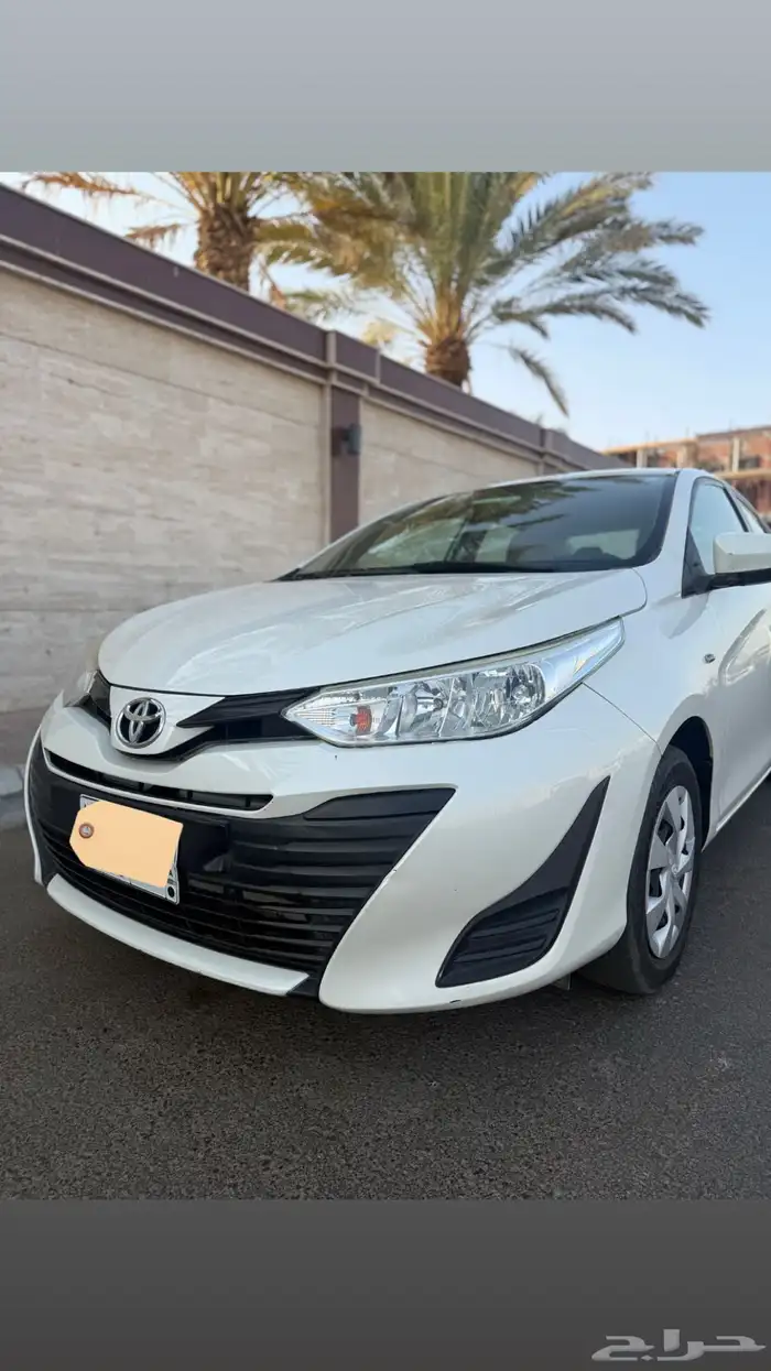 يارس 9 1 0 2 وردة 2