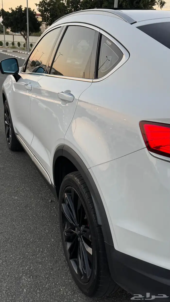 جلي توجيلا 2021 للتنازل Jelly Tugela 4