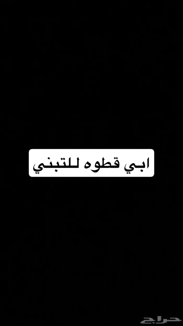 ابي قطهه للتبني 0