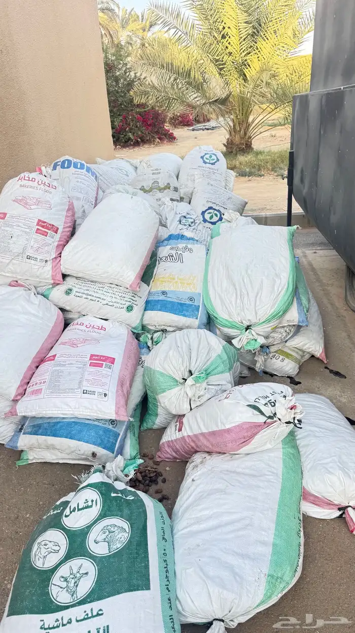 تمر ناشف للغنم 1