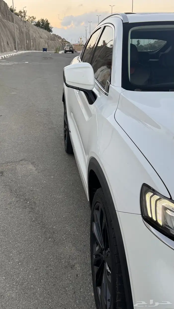 جلي توجيلا 2021 للتنازل Jelly Tugela 2