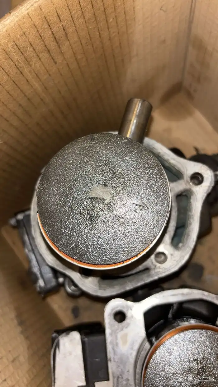 سلندرات سلندر بانشي 1