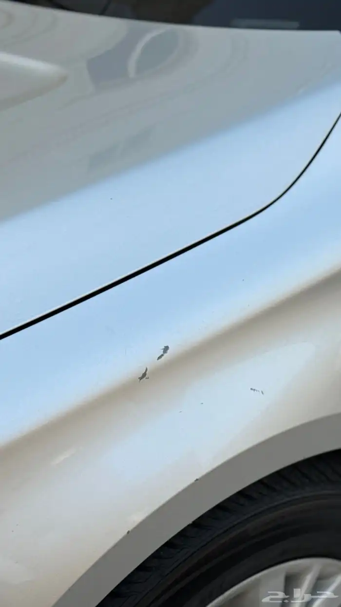 شفروليه امبالا 2014 للبيع 6