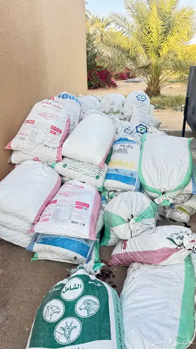 تمر ناشف للغنم index