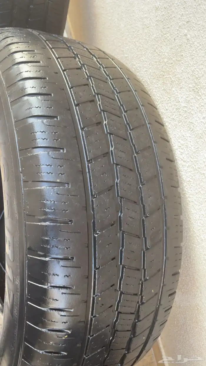 3 حبات كفرات تنفع للجيوب 1