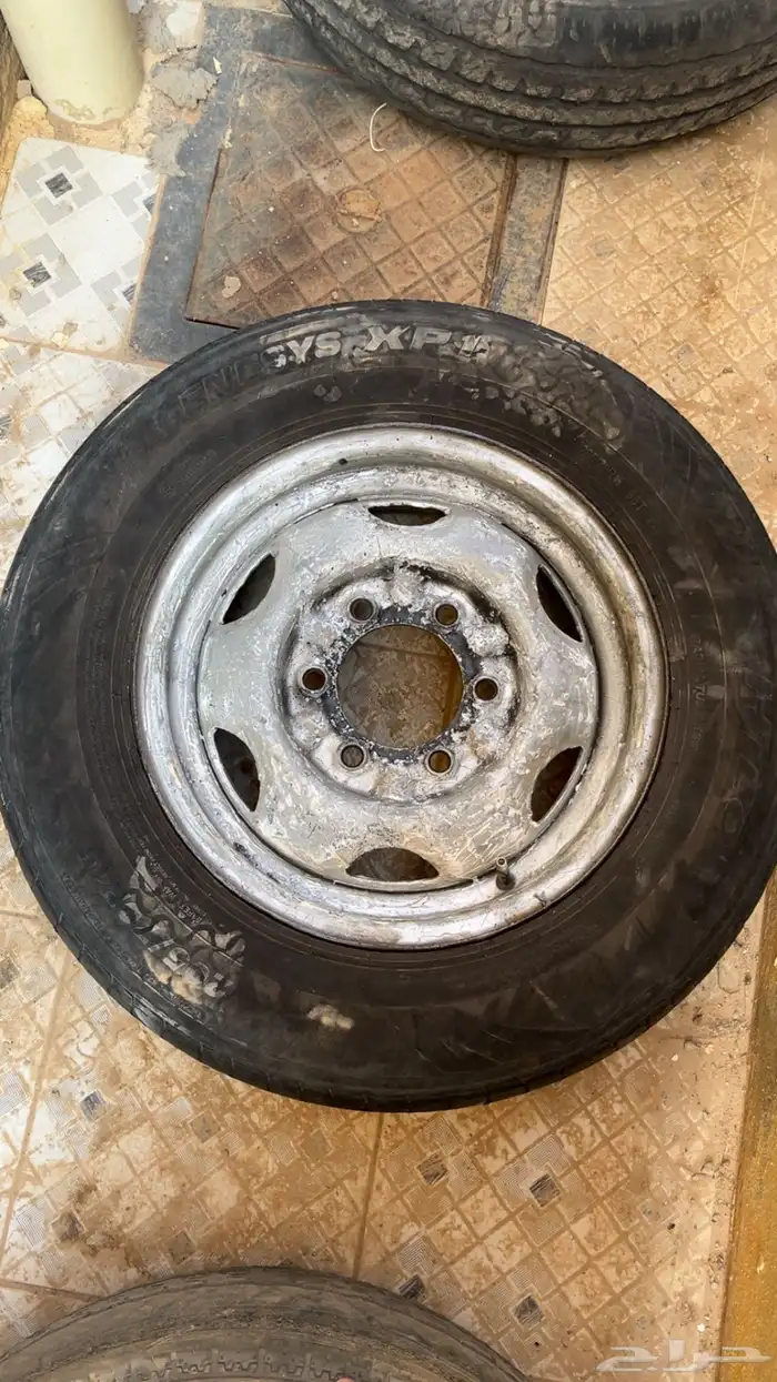 اعرضلكم جنوط ددسن بلد للبيع البيع جميع ع السوم 2