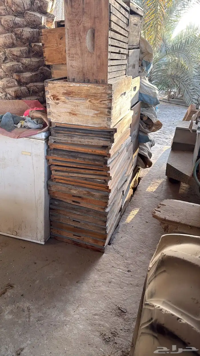 صناديق نحل 0