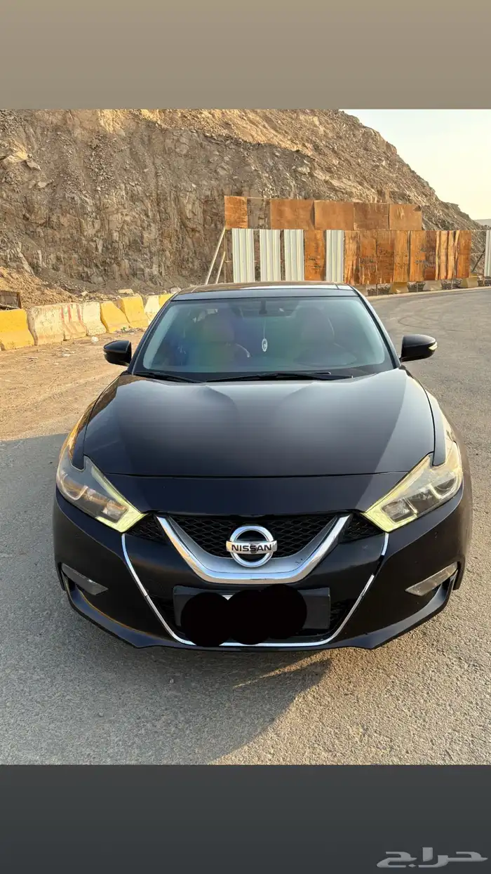 نسيان مكسيما موديل2016 فل 4